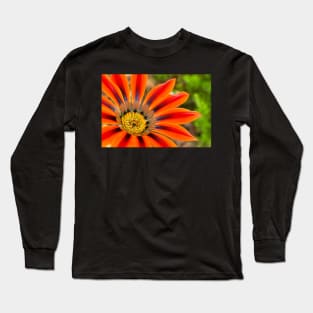 Gazania Long Sleeve T-Shirt